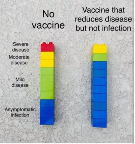 Lego-vaccine.jpg